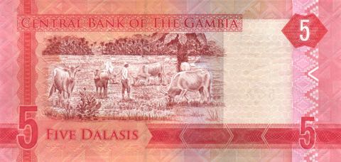 Gambia_CBG_5_dalasis_2015.04.15_B29a_PNL_B_8812621_r