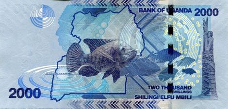 Uganda_BOU_2000_shillings_2017.00.00_B155d_P50_BU_3405601_r