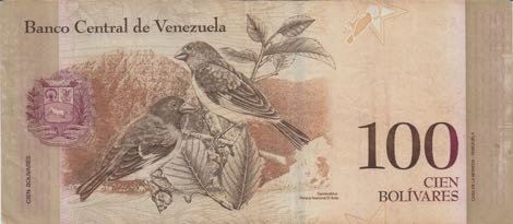 Venezuela_BCV_100_bolívares_2007.05.24_P93_A_75332531_r