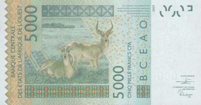 West_African_States_BC_5000_francs_2019.00.00_B123Ds_P417D_19468785542_r