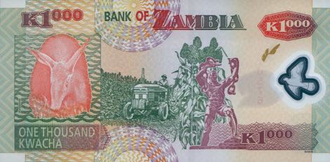 Zambia_BOZ_1000_kwacha_2009.00.00_B146g_P44g_EN-03_2270576_r